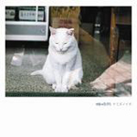 蝉時雨：「ナミダノイチ」